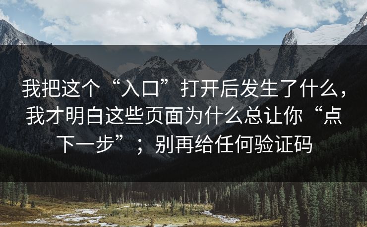 我把这个“入口”打开后发生了什么，我才明白这些页面为什么总让你“点下一步”；别再给任何验证码